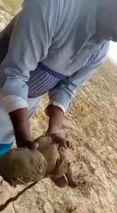 Newborn-baby buried and abandoned was rescued in time....