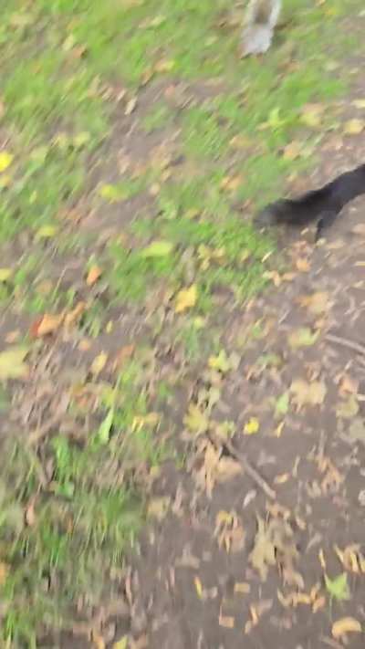 the baby got close to me