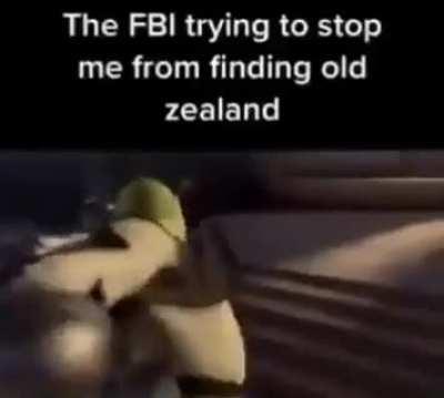 Damm FBI