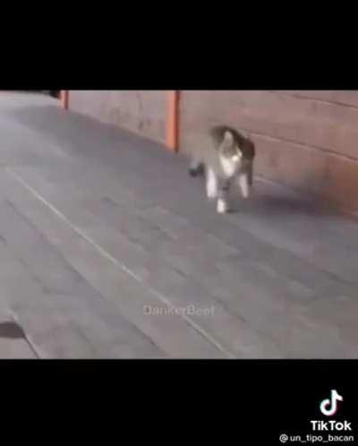 Church video 🙄😲