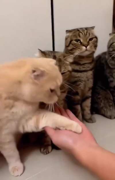 Me when someone elder then me gives me Eidi