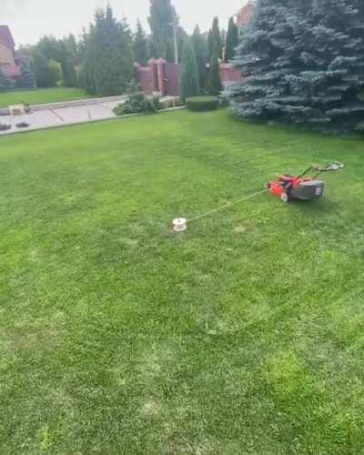 Bubba, why does your lawn have Crop Circles on it?