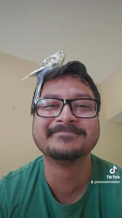 I did not sign up for this. If Shelagh were a mosquito or a housefly, there'd be hell to pay. 😂