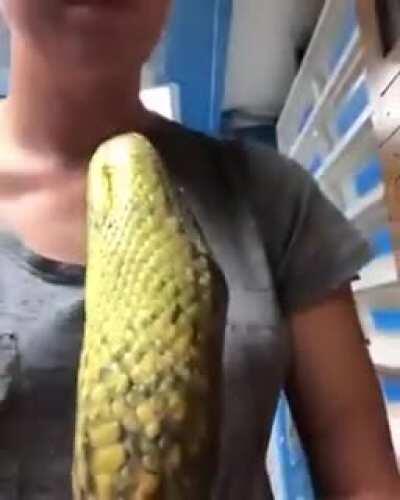 My anaconda don’t want none unless you got strokes