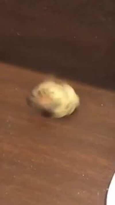 Meanwhile Pffft in the corner...