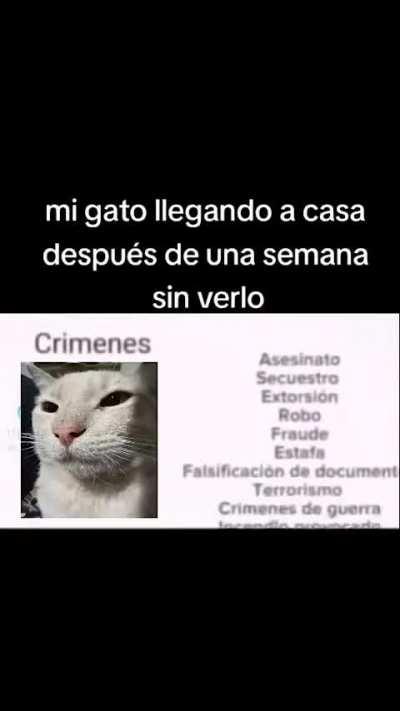 Por eso no tengo gato 🐈 (pdta: salí en la portada!)