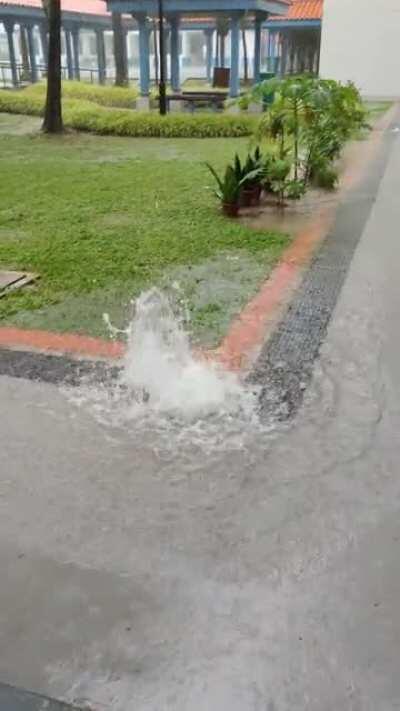 Didn't know my block got a new water fountain feature