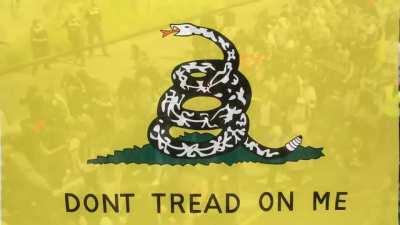 Meanwhile In Authralia