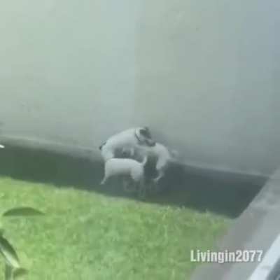 Me and the good Boys