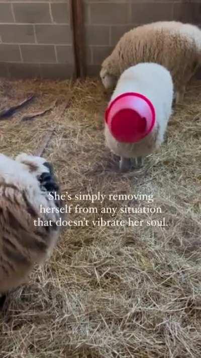 Thought this belonged here, sorry if I'm posting in the wrong place!