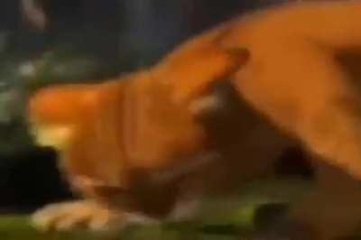 His last life was the best one