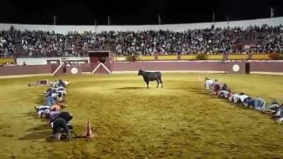 Technically... the bull's losing?