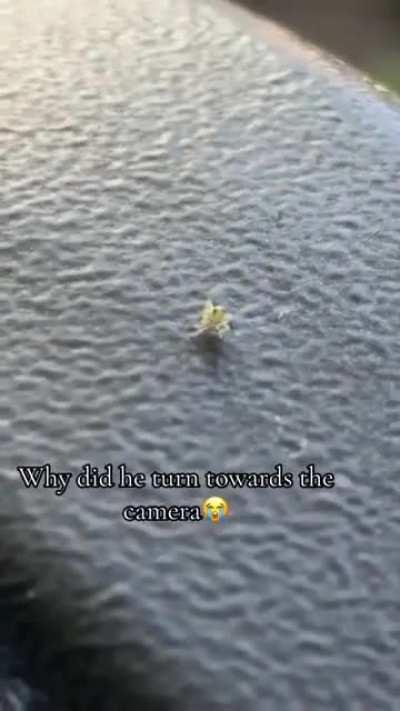 Why did he look straight at the camera 💀