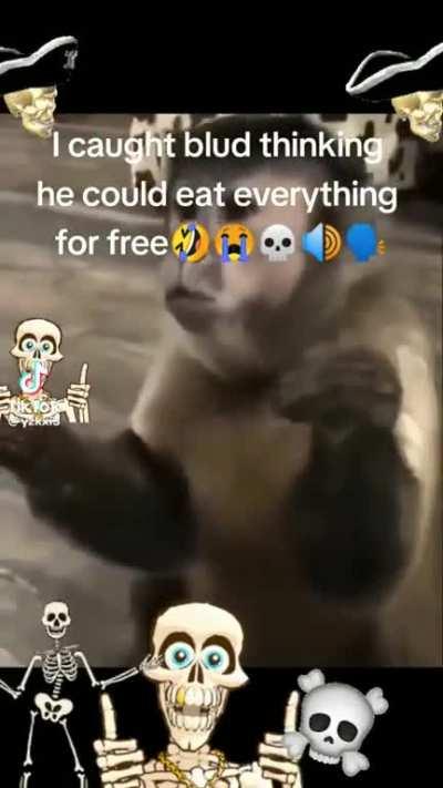 Upvote so kai can see