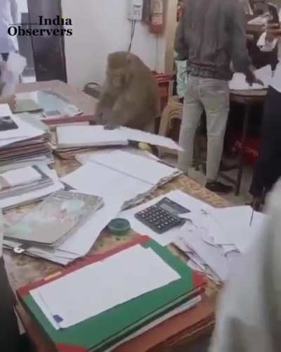 Where is my aadhar card?