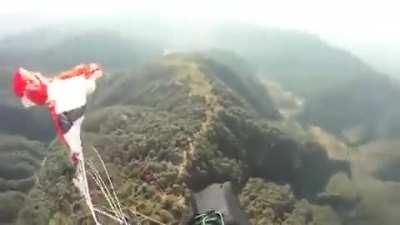 Vulture vs paraglider
