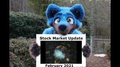 stocks_irl