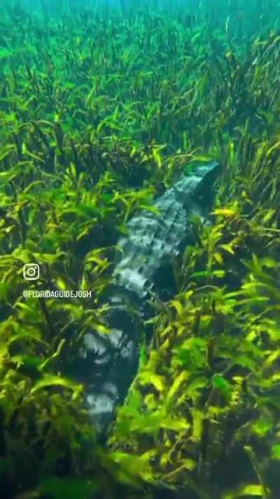 That´s possible......