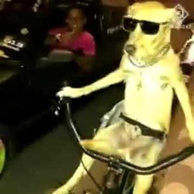 Alguém sabe o nome dessa música??????,'-,'