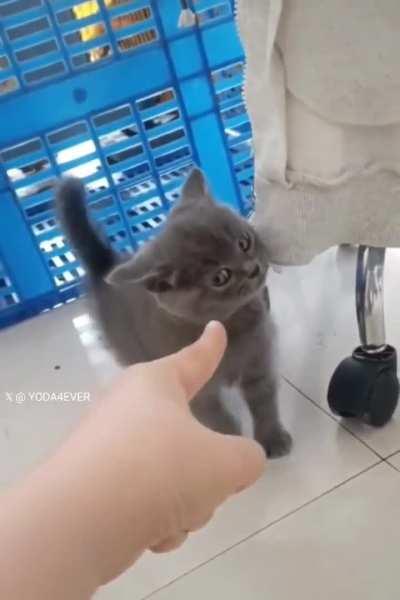 How dare you point at me.