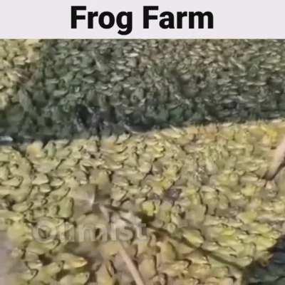 I'm 15 and this is yeet