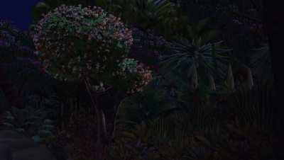 Long-time fans/veterans waiting for Prime 4 be like