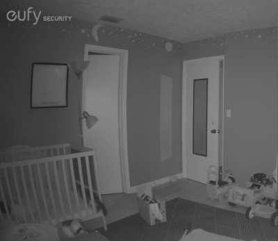 Cat going to sleep with my 3 year old is it normal! 😂