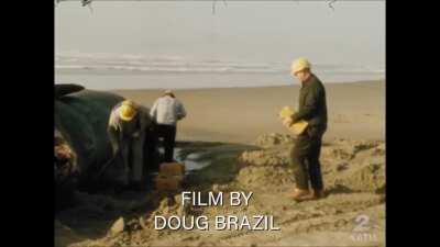 [MS] Subaru Natsuki conducts beach cleanup operation