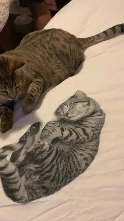 Pluto vs. the new duvet