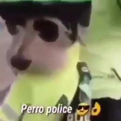 guys look at this funny tik tok i found haha :)))