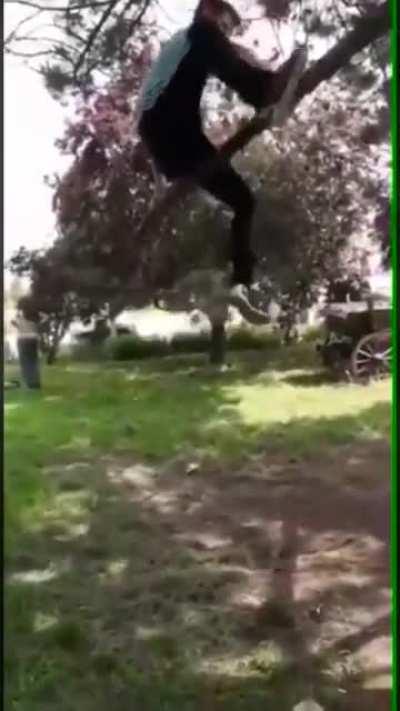 To get out of a tree