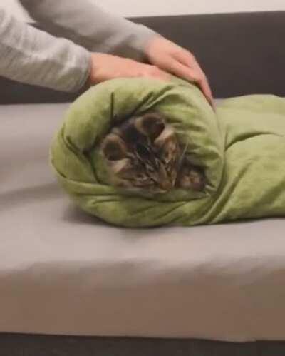 Linda! I’m not your sushi roll