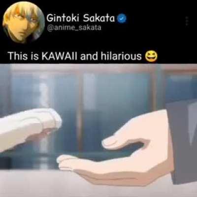 This is Kawaii and Hilarious