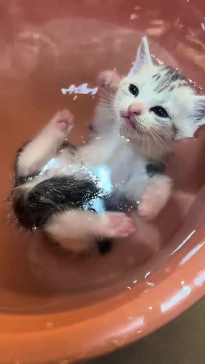 First bath