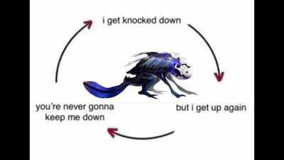 Basically, the second half of the Stultifera Navis