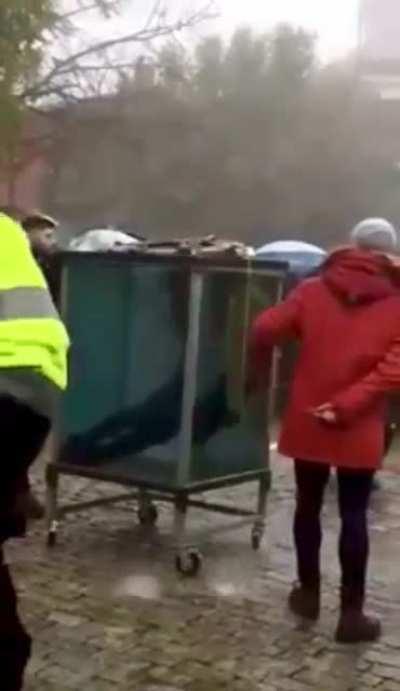 Pedro Volta, an illusionist, drowns while doing an escape trick