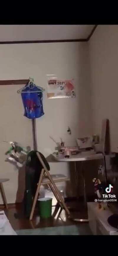 POV Zeke’s nightmares.