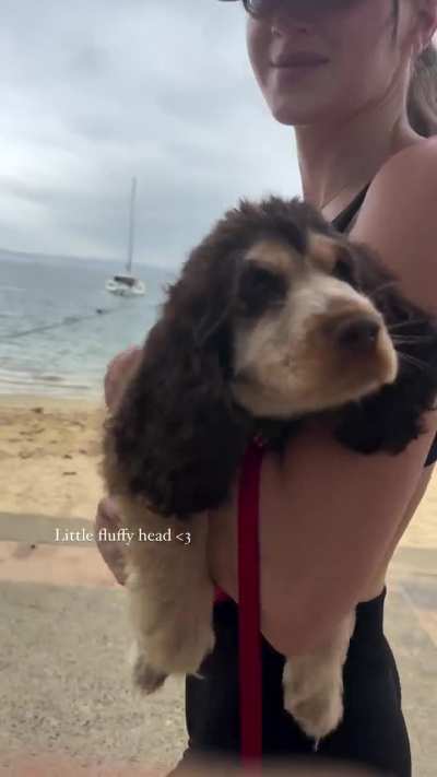 ‘Little fluffy head’ | IG December 2024