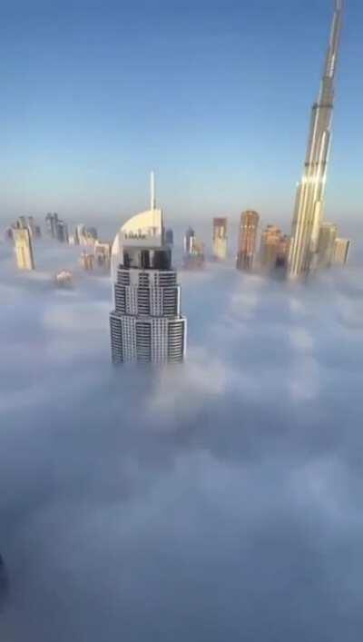 Enjoy the foggy weather