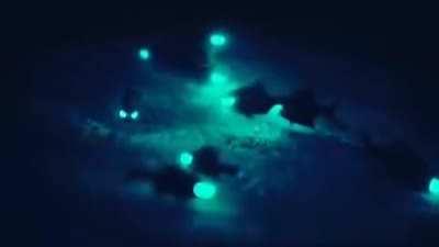 🔥 Out of This World Glowing Fish Eyes 🔥