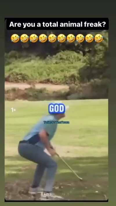 Poor animals