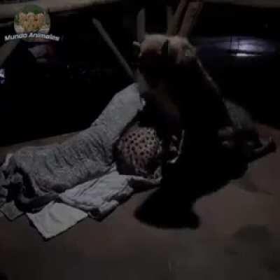 Наташа, нам холодно!