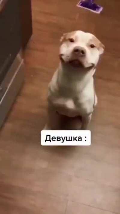 Твоя сучка ждёт тебя с работы