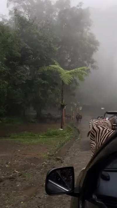 Просто атмосферный видосик