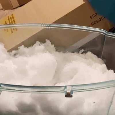 We gave our girls snow yesterday, Squid tried to hoard it.