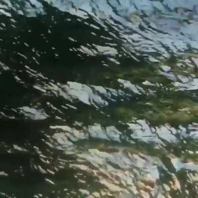 🌊🏄&zwj;♀️🏄&zwj;♂️