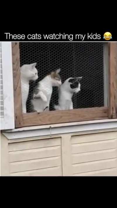 This tennis match is intense 🥵