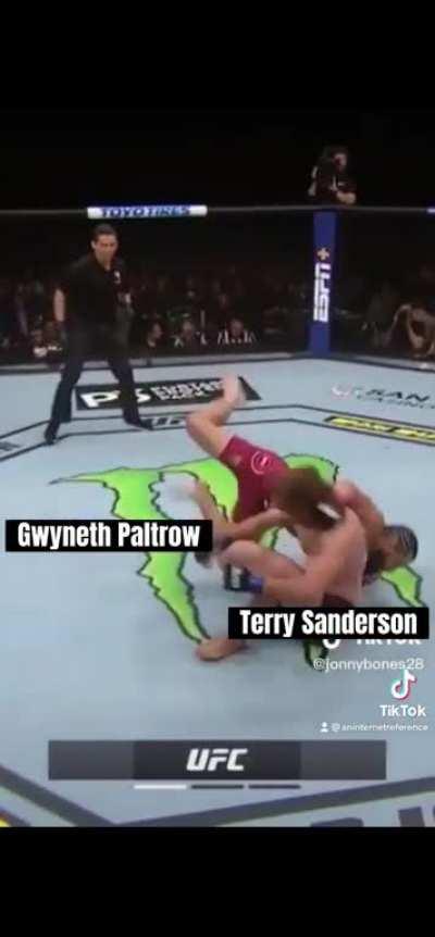 leaked footage of Paltrow ski incident…?