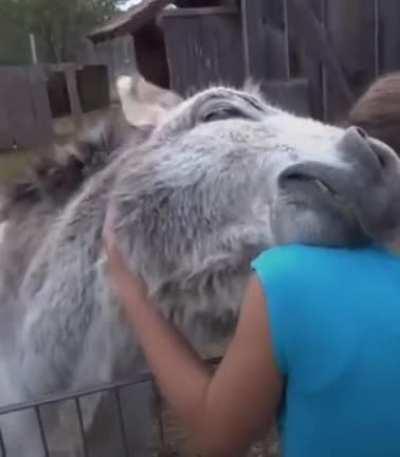 Somebody was really missing their human !