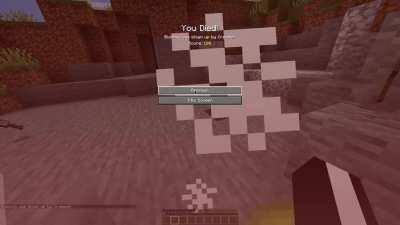 Remember to turn off your resource packs...